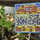 Casitas Kinsol - (website hidden) - Hand made glass composition - 