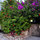 Casitas Kinsol - View from the street - 