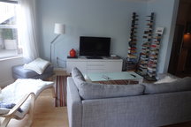 Gorgeous 1 bedroom by Alamo Square
