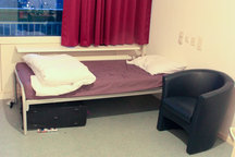Nice Private room for  2 months
