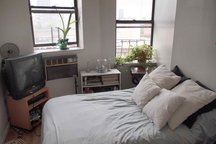 Cozy Manhattan Apt with Great Light