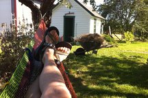 waterfront bike kayak & farm stays 