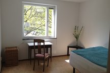 A really cheap,clean and nice flat 