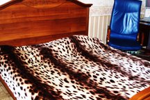 Share my apt in Sochi