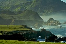 Forest Cottage in Big Sur