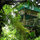 tropical treehouse