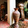 The Mission (Studio City/Hollywood)