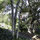From the secluded kitchenette and bath