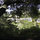 Solitude of canyon view from treehouse deck
