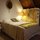 The Mission by Vintage Vacations