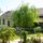 lush green back yard garden
