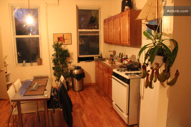 Eclectic Williamsburg Studio