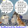 Animal Lovers Special! 
