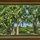 Haller Lake Restored Log Cabin