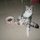 My Cat - Beeby (But not @ the Apartment)