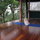 Your private yoga studio overlooking Los Angeles Sur. Puppy not included.