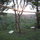 Sunset view of the side garden looking towards the road to Fortuna/Arenal on the ridge.