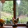   kitchen window