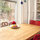 Philadelphia Hideaway with Garden!