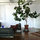 White Fabric Wall Separating My Working/Sleeping Area