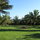 Have Lunch Amid the Organically Grown Coconut Palms and Citrus Trees!