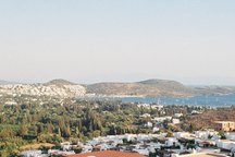 Bodrum: spectacular view - and owl.