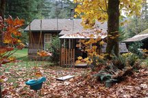 Cozy Cabin in Paradise, Squamish