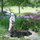 pond in May