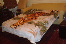 SHARED ROOM with  double size bed