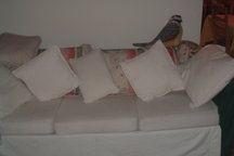 Travelers' Sofa, comfortable, cozy