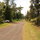 Lehua Road, hidden neighbors.