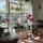 porch / Green house
