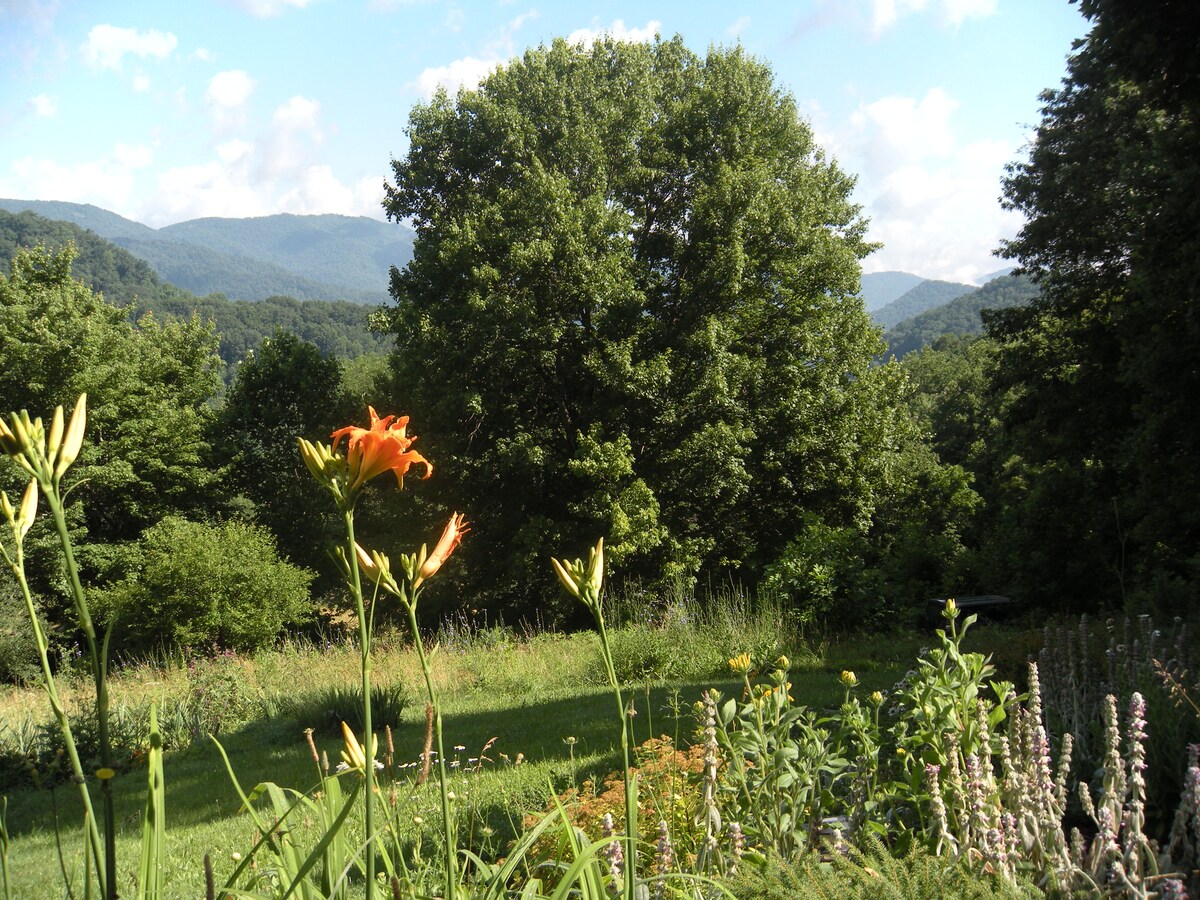 Fresh Look at Summer View From Porch