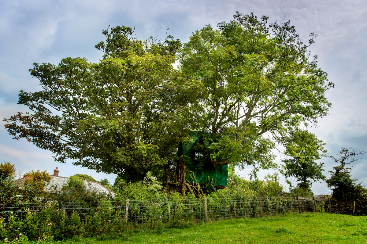 airbnb 5 lugares extraños que ofrece Airbnb para alojarse image airbnb 6664e507 original