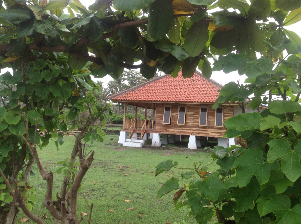 Rumah sederhana di tepi pantai in Cikelet