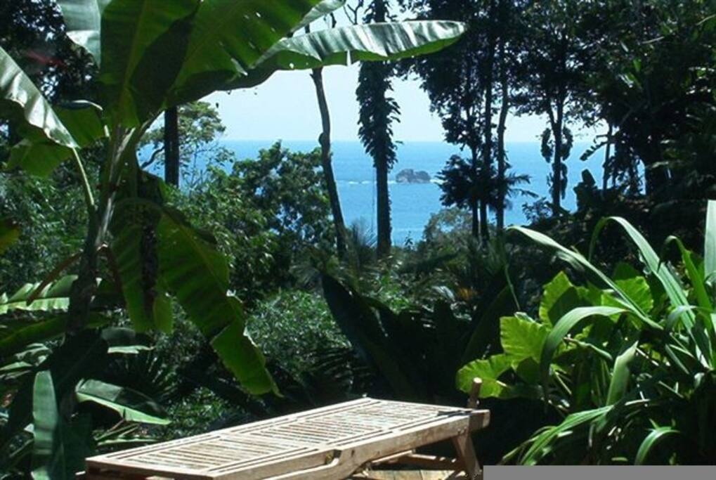 view of Ballena Island in the Ballena National Marine Park that my home overlooks, this is the view from the pool and main gathering area