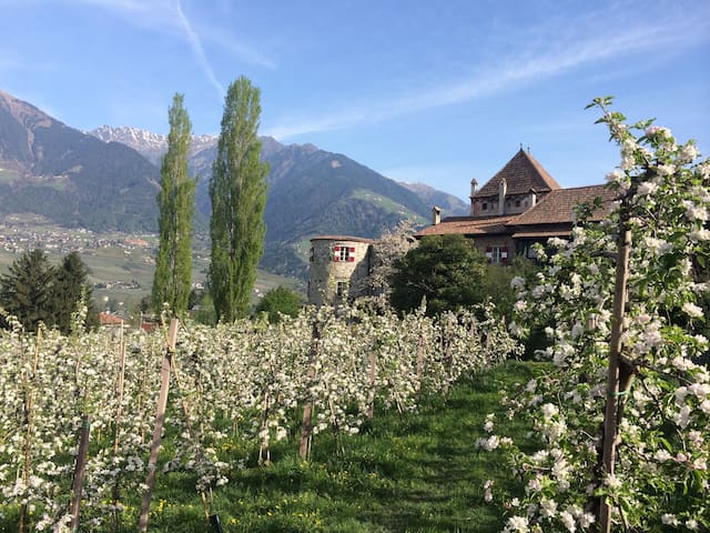 Ferienwohnung Schloss Planta, Meran - Castle