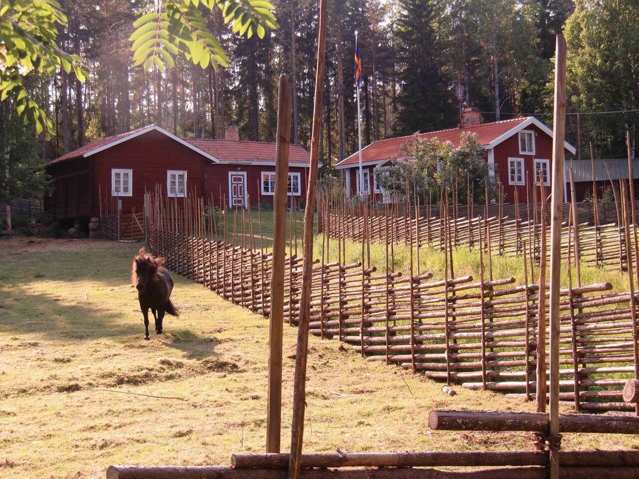 Favorite spot in the woods cabins for rent in hudiksvall