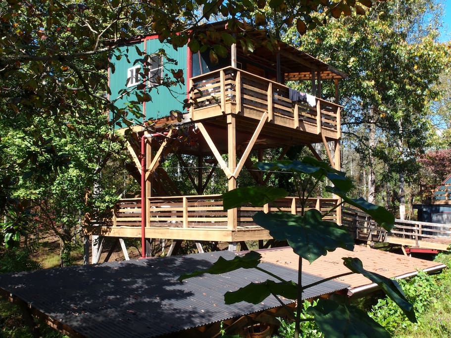 Tree House.