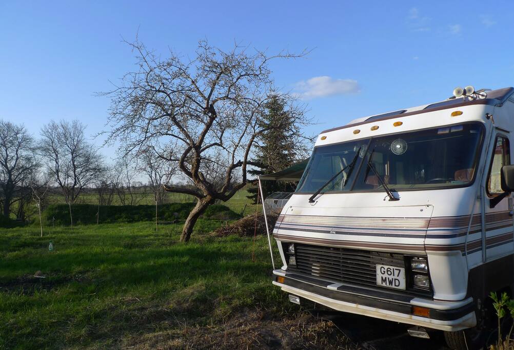 American Motorhome in Countryside Campers/RVs for Rent in Neustrelitz