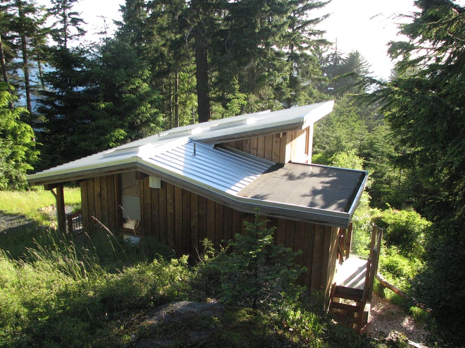 Little Nest is surrounded by views of sea, forest, and sky.