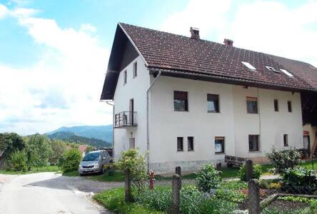 Belle Property Carina Rentals Belle Property Carina Rentals
