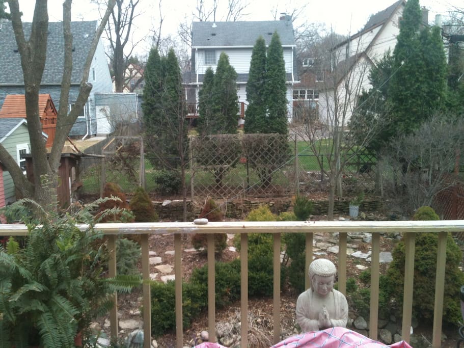 Back yard in early spring