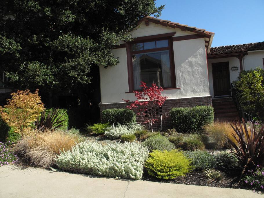 Front Garden