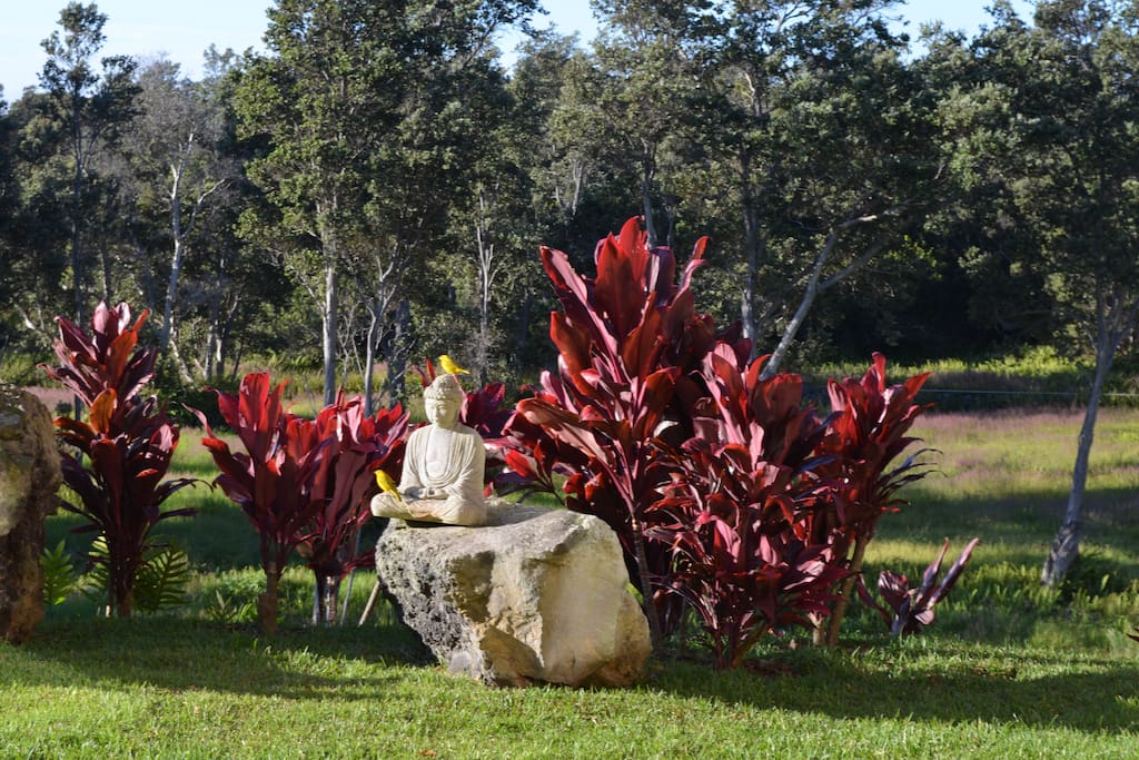 Waiola Guesthouse & Zen Garden Houses for Rent in Naalehu