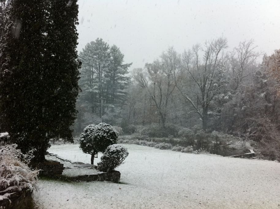 and the great lawn,