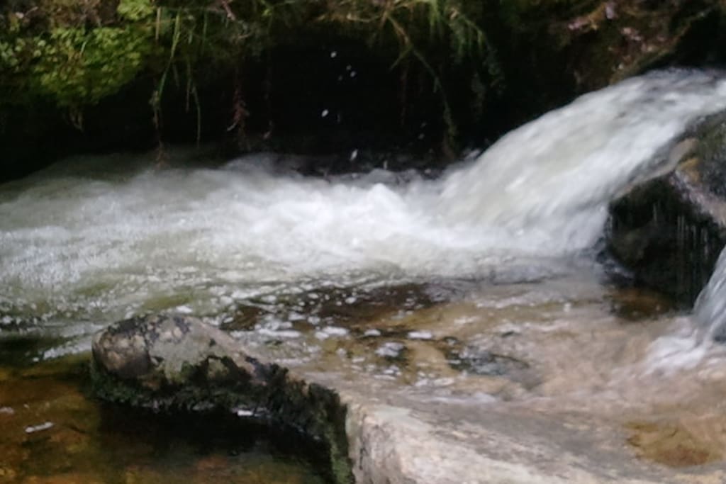 One of many nearby babbling brooks full of crystal clear mountain water, ice cold even during the hottest and most humid summer stretches.