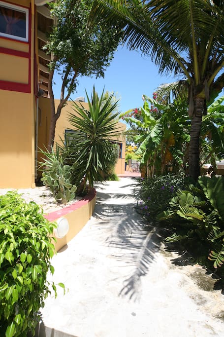 Apartments For Rent In Providenciales Apartments For Rent In Providenciales