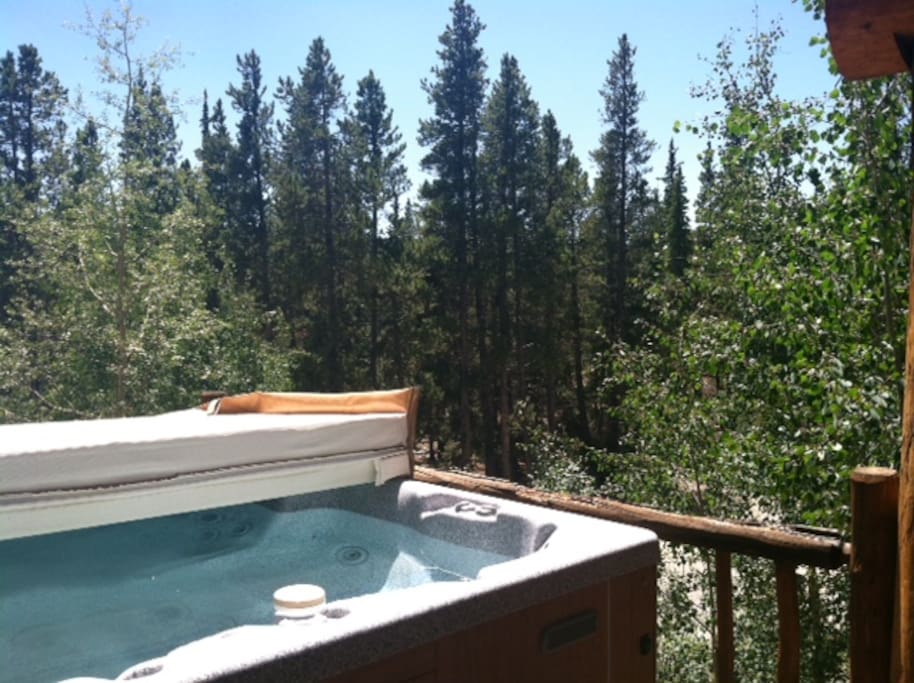 Amazing Mtn Log Cabin w Hot Tub!! Secluded, Quiet Houses for Rent in Fairplay