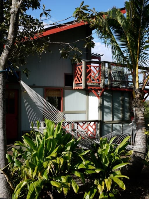 Ocean view hammock